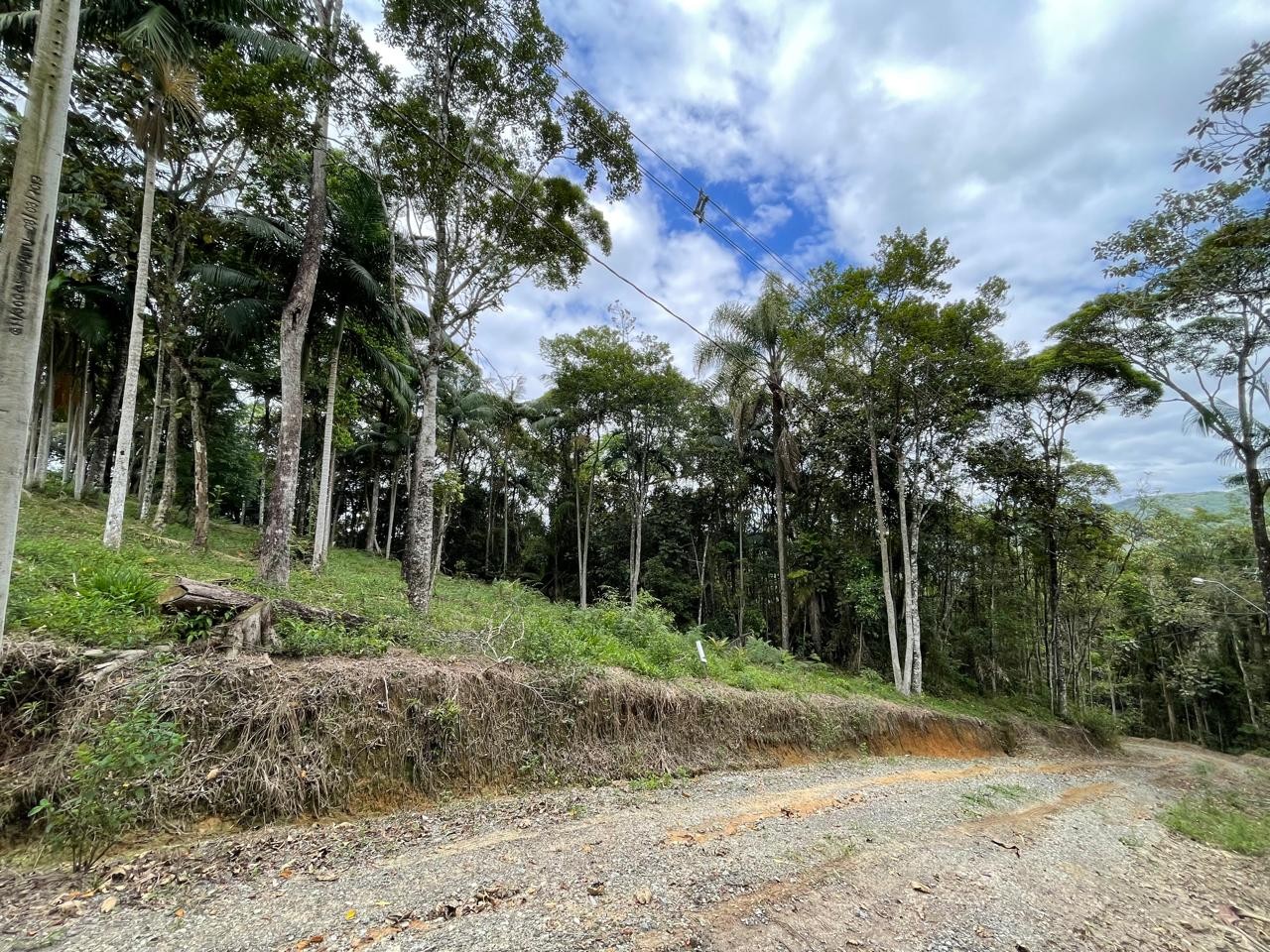 Terreno em Varginha, Santo Amaro da Imperatriz. 0 quartos, 1631m². Imagem 13 de 14